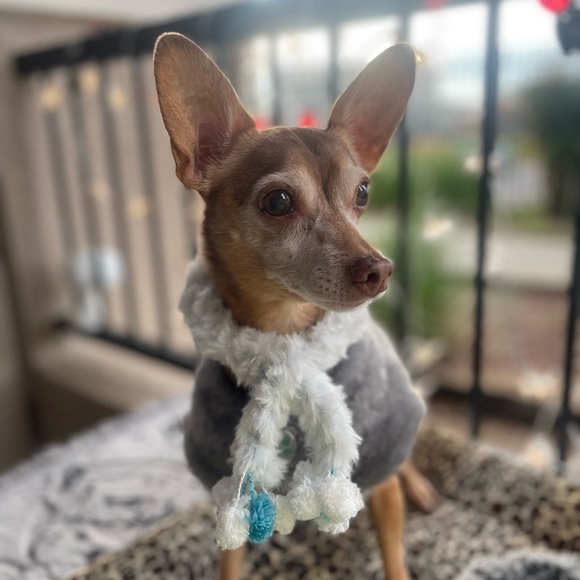 👋 Hi, I’m Ariel! Happy to be sharing fashion love - Picture 13 of 16